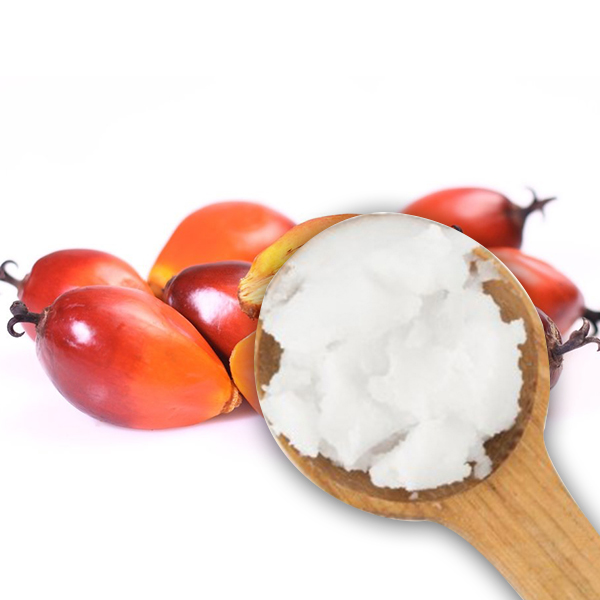 Ulei palmier pentru gatit Driedfruits – 18 kg Dried Fruits Produse Naturale pentru Patiserii, Cofetarii & Brutarii